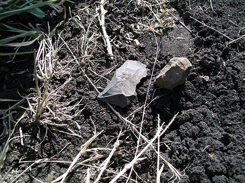 Stone tools